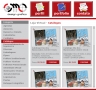 300310 cmo